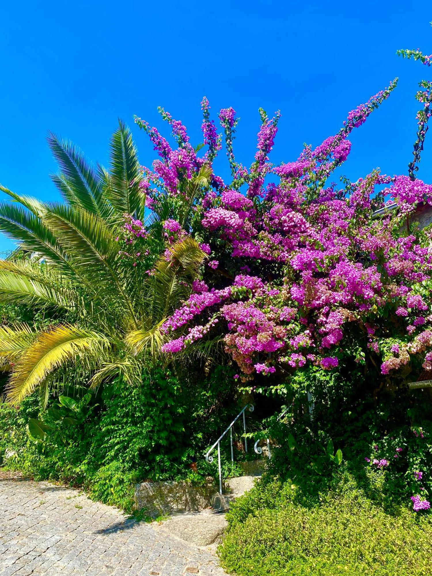 Villa Quinta De Ribas Amarante Esterno foto
