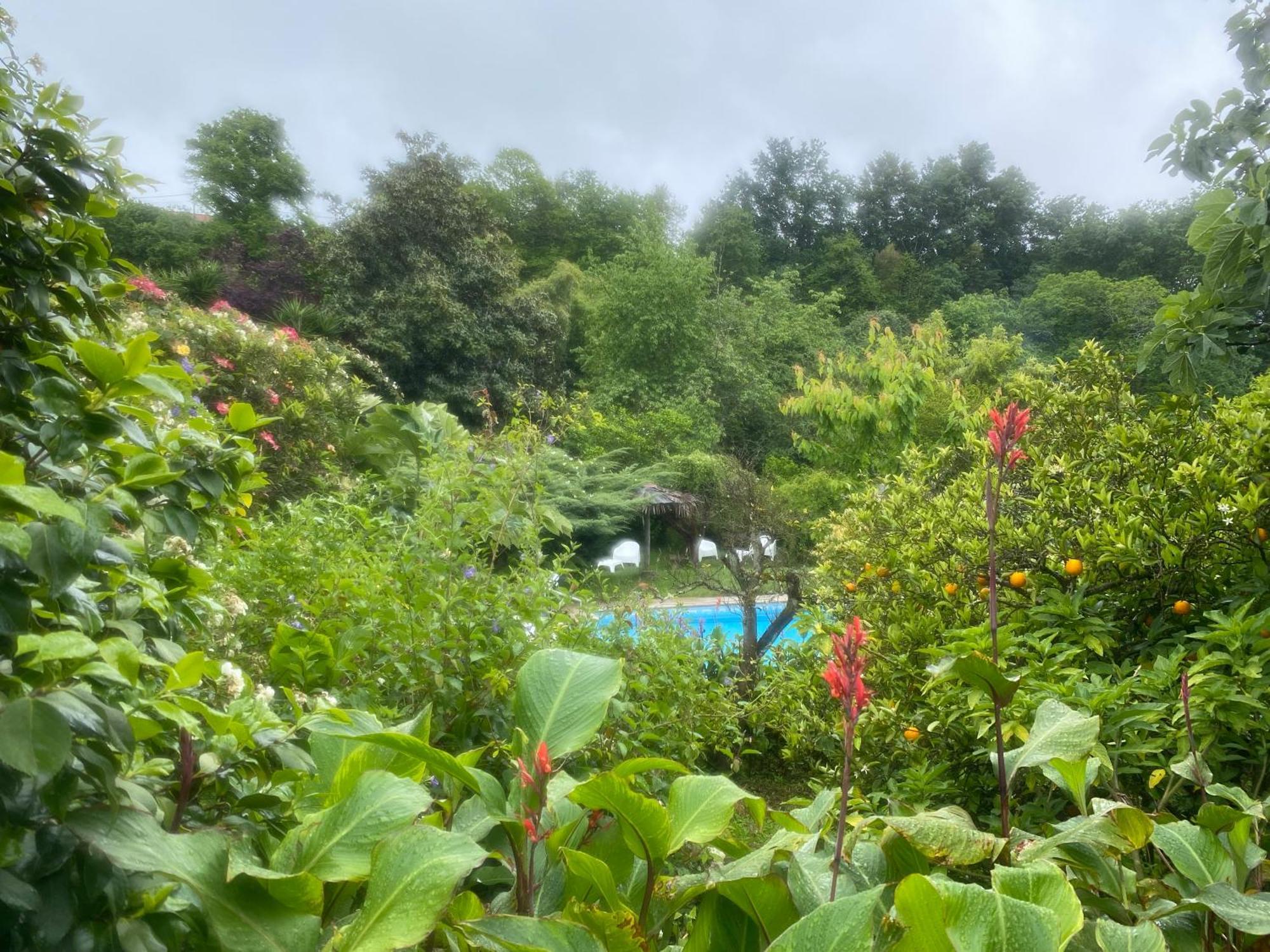 Villa Quinta De Ribas Amarante Esterno foto