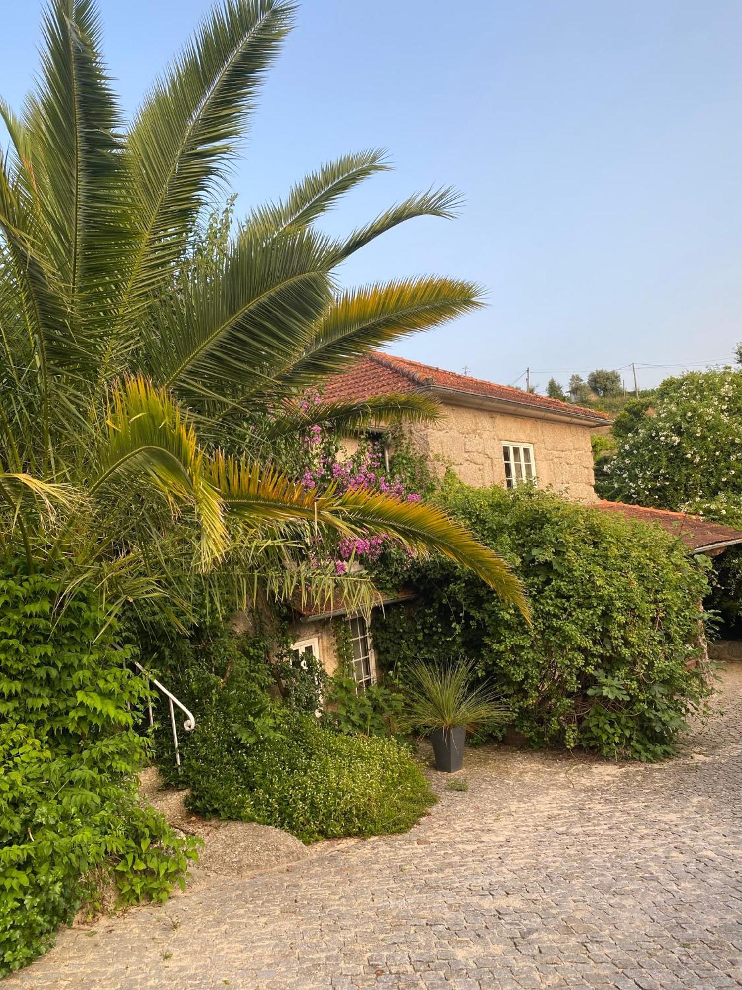 Villa Quinta De Ribas Amarante Esterno foto