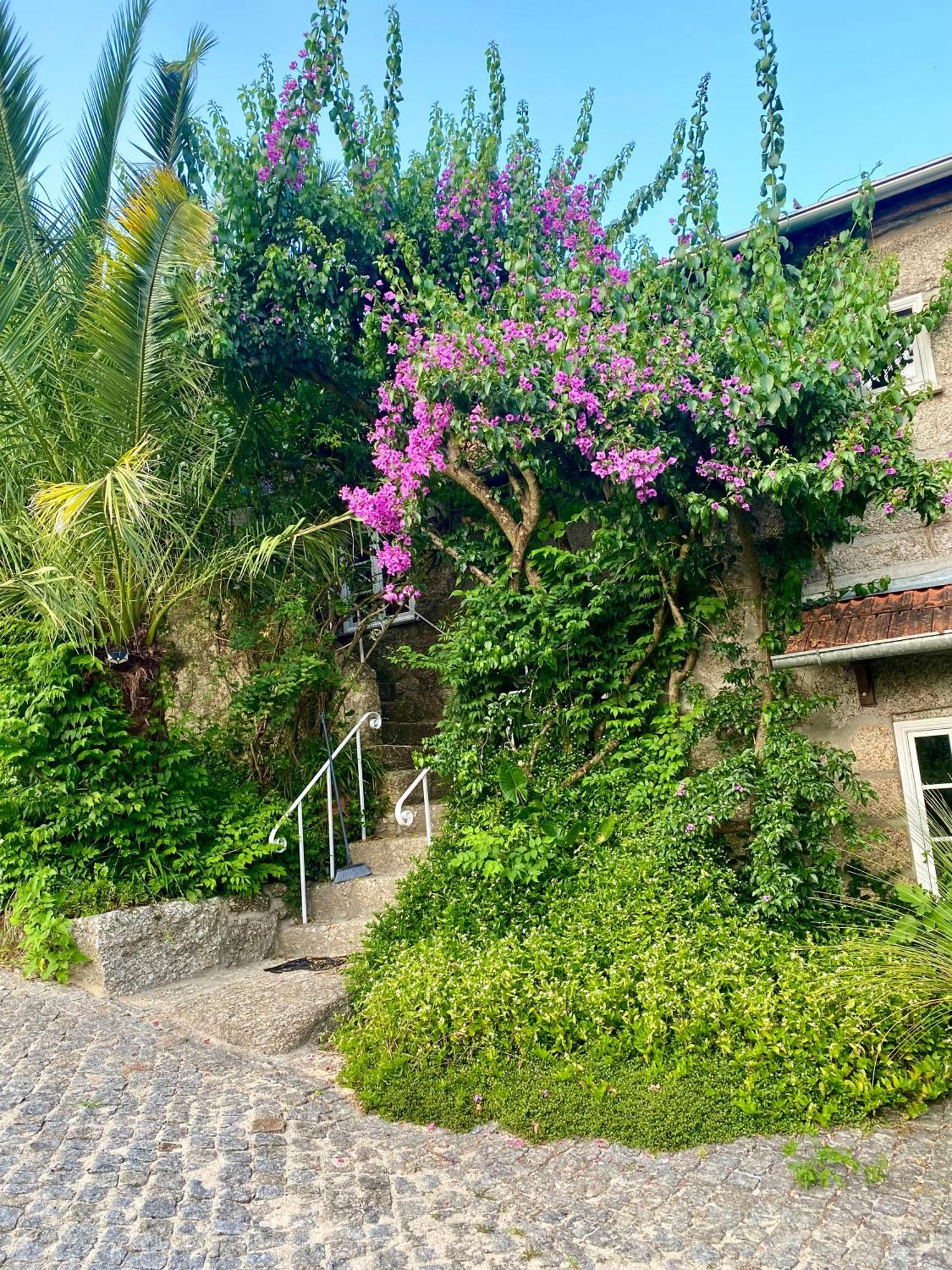 Villa Quinta De Ribas Amarante Esterno foto